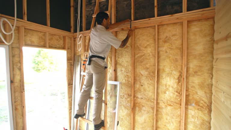 Types of Insulation We Offer in Woodlands, CA